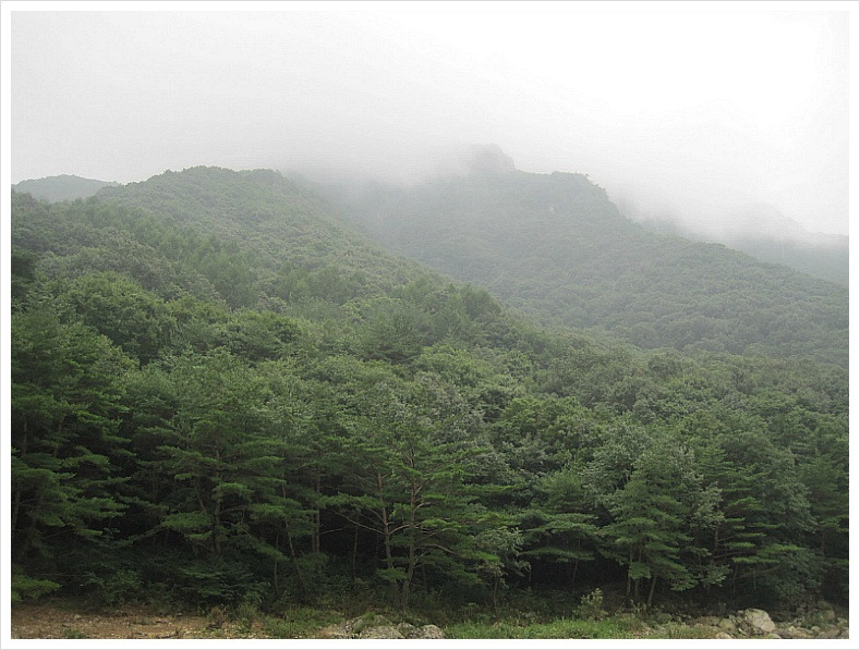 터골 사진 5