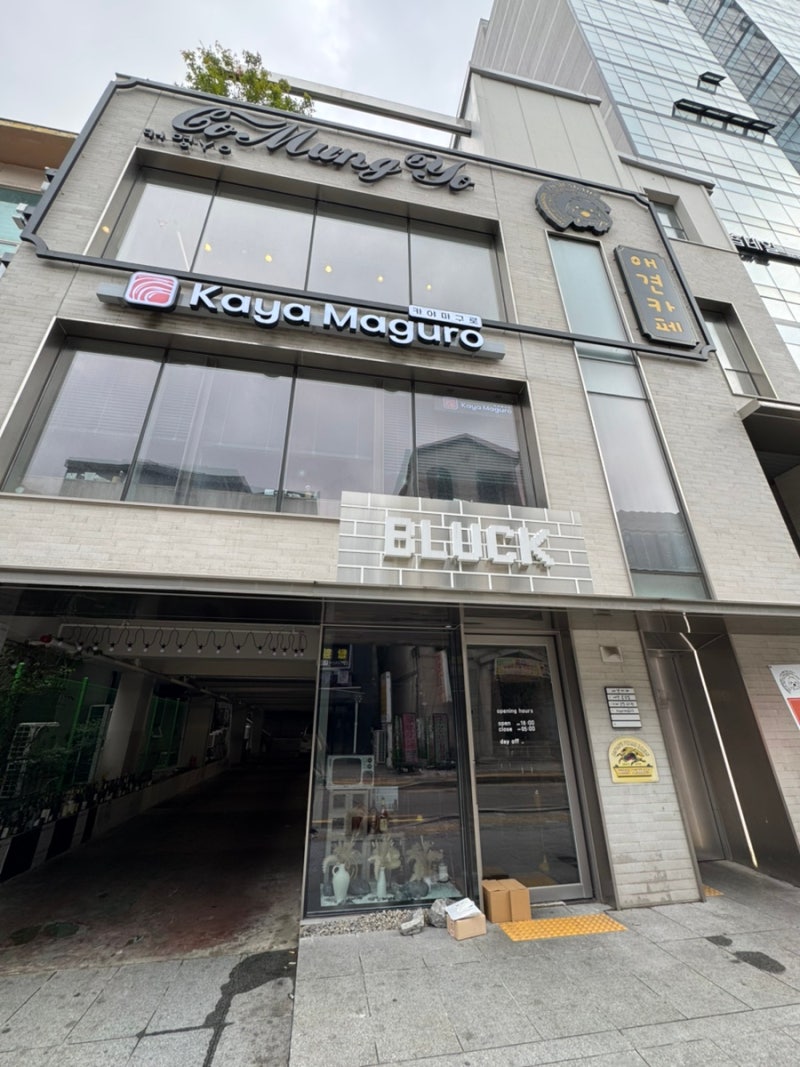 사진 6