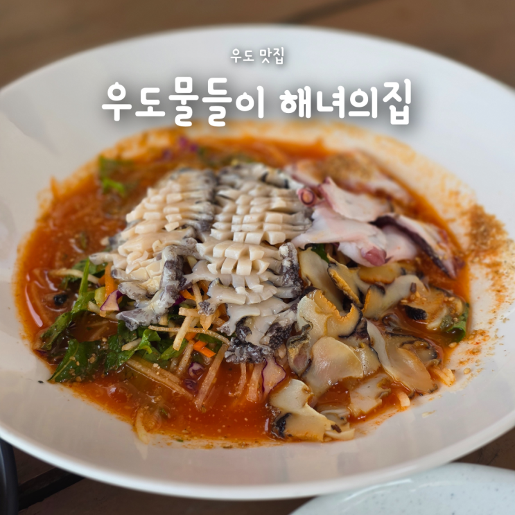  제주우도맛집 우도물들이 해녀의집, 모듬물회 뿔소라비빔국수 후기