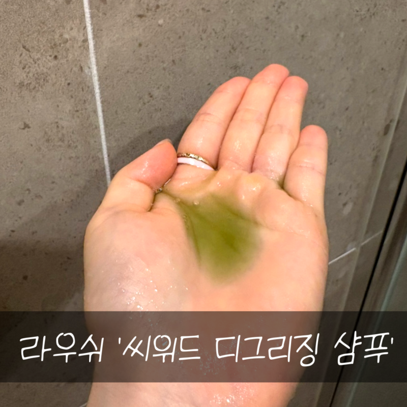 [라우쉬] 토닉에 만족해서 샴푸까지 구매해 본 씨위드 디그리징 샴푸 솔직후기!