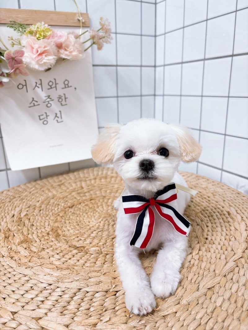 사진 2