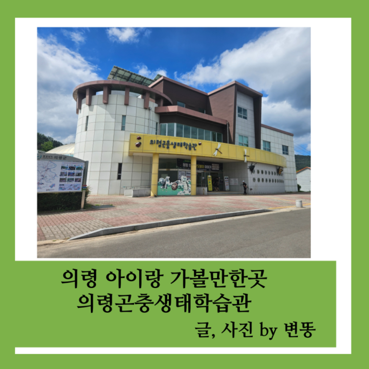  의령 아이랑 가볼만한곳: 의령곤충생태학습관 내돈내산 찐 후기 2탄! 2층 내부 (곤충,파충류 좋아하는 아이 아니라면 비추천!)