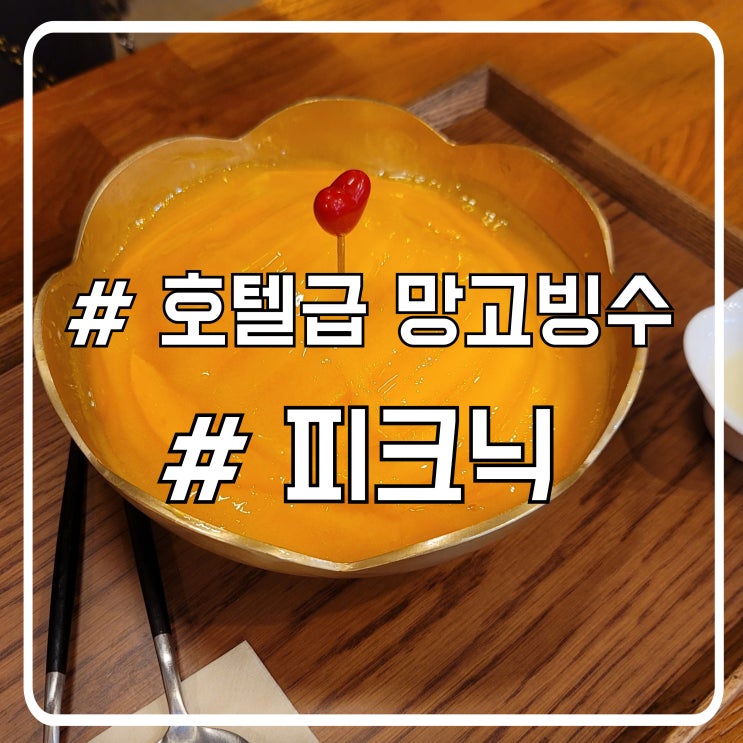  시흥 거북섬 맛집 애견동반 가능한 신라호텔급 망고빙수 피크닉