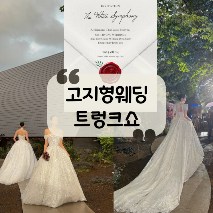  [드레스] 유지커피웍스ㅣ2025 제주 고지형웨딩 트렁크쇼 "The White Symphony" 참석 후기