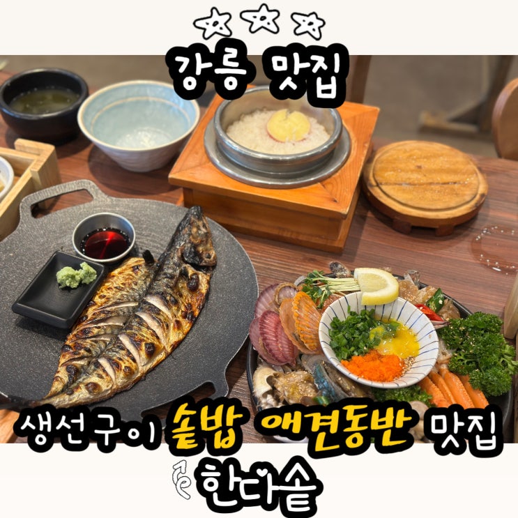  강릉맛집 한다솥 후기 생선구이 솥밥 맛집, 애견동반 가능한 경포대맛집