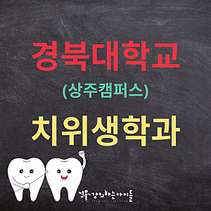 경북대학교 상주캠퍼스 치위생학과 2025 입시 결과 [ 최근 5년 ]