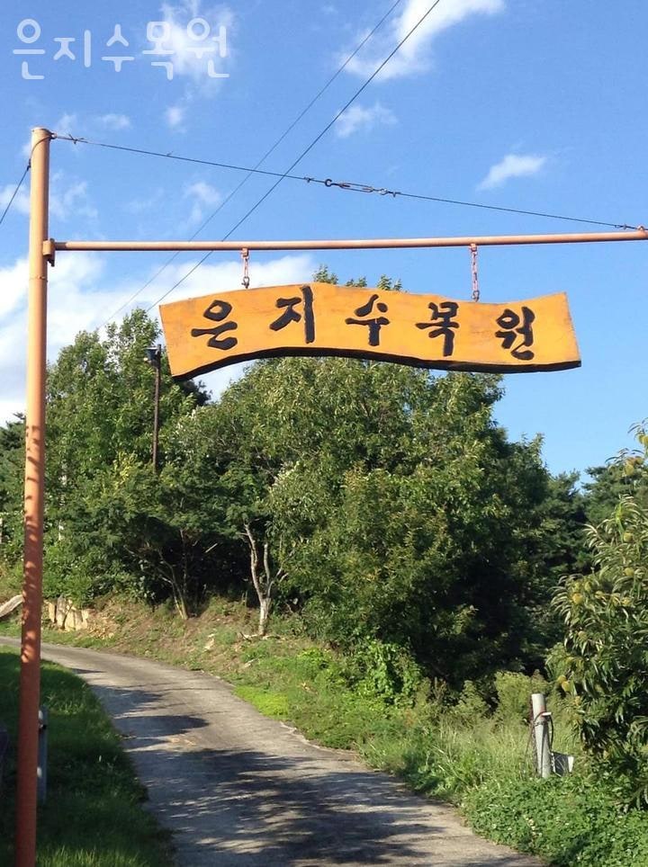 은지수목원 사진 1