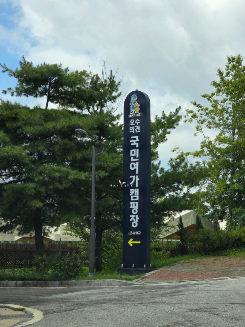 사진 15