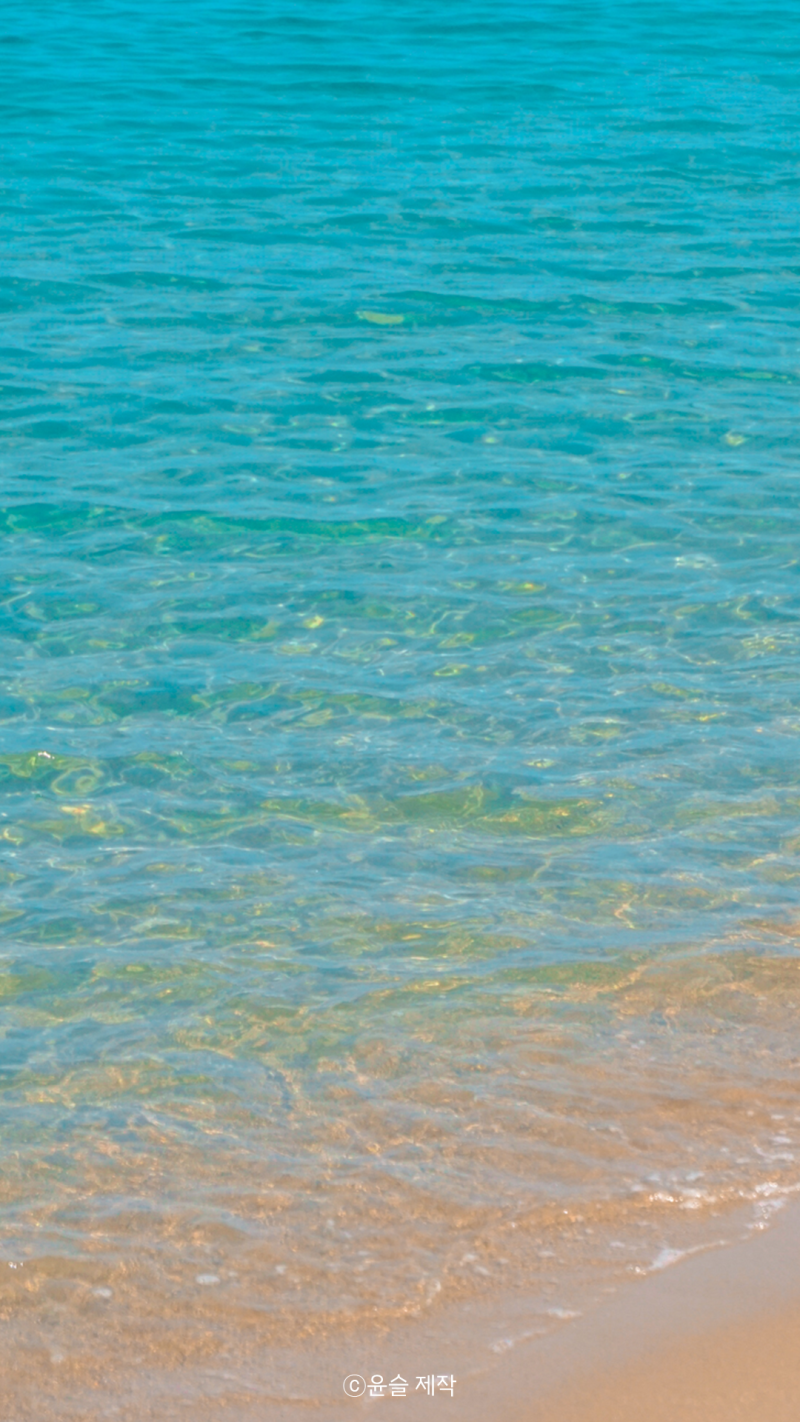 삼척 뚜벅이 여행의 기록이 담긴 휴대폰배경화면 나눔 : 네이버 블로그, image size:800x1422