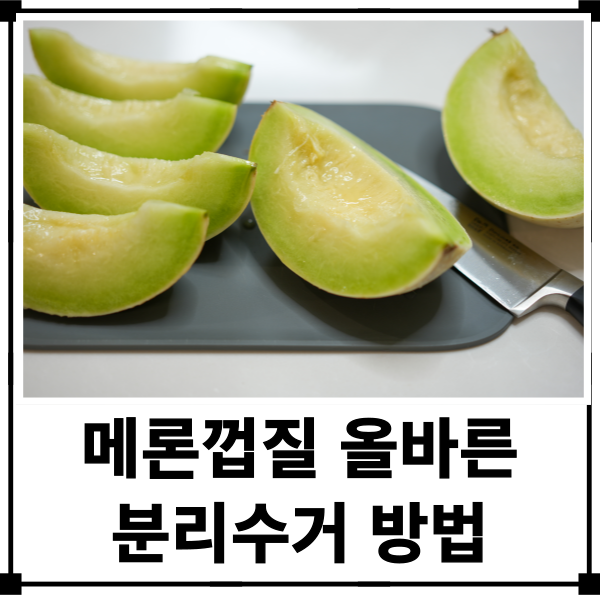 메론껍질 분리수거 대부분이 모르는 진짜 올바른 방법