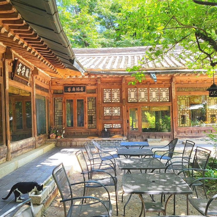  경기도 성남 한옥 카페 추천 새소리물소리