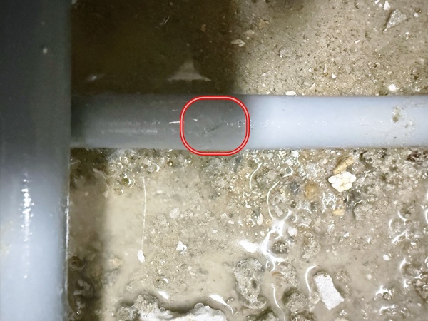  화성 아파트 천장 누수는 화장실 수도 배관에 손상 때문!