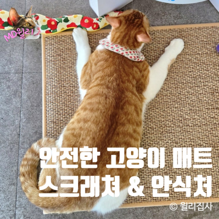  고양이매트 스크래쳐 캣나인 이너무바 고양이가 고른 안식처