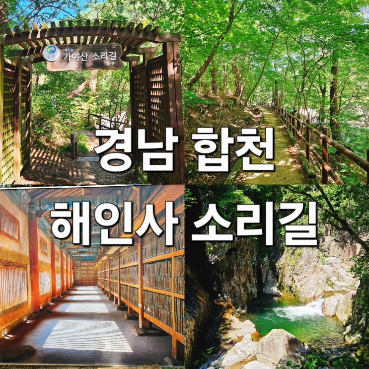  경남 합천 여름 계곡 힐링 트레킹 코스 '해인사 소리길'
