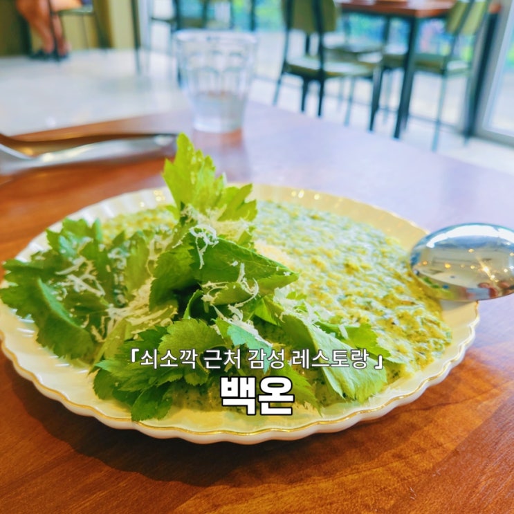  서귀포현지인맛집 쇠소깍 근처 감성 레스토랑 백온