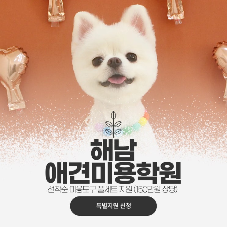  해남애견미용학원에서 알려주는 강아지 셀프 미용 하는 방법