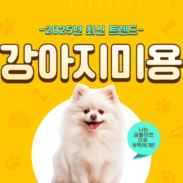  강아지미용스타일 완벽 가이드: 2025년 최신 트렌드와 실무 노하우