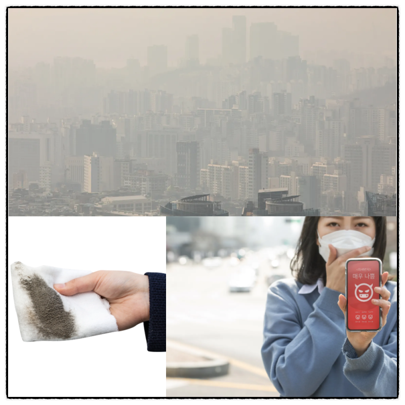 대기오염 사례와 원인 및 생태계에 미치는 영향 : 네이버 블로그