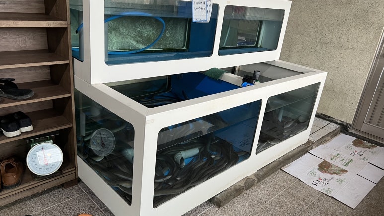 인평장어메기집 사진 4