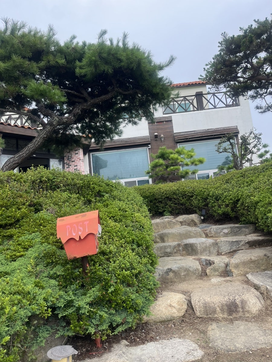 마이도물회전문점 사진 3