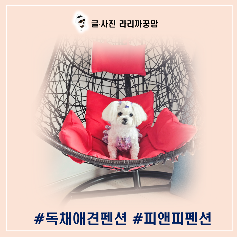 피앤피펜션