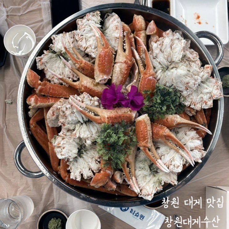  [창원대게수산] 창원 대게 맛집 모임 장소 추천