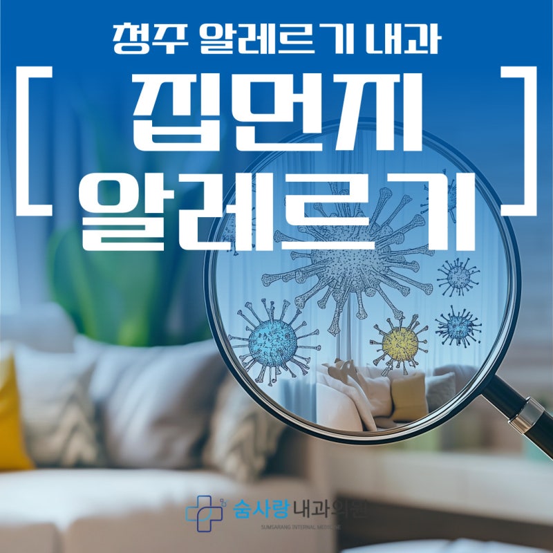청주 알레르기 내과 집먼지 알레르기 증상 없애는 법은?