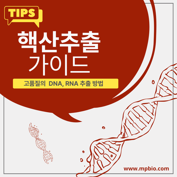  [실험 팁] 핵산 추출 (Nucleic Acid Extraction)-신뢰도 높은 고품질 DNA 및 RNA의 분리