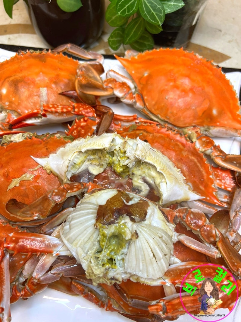 꽃게 찌는법 꽃게찌는시간 꽃게찜 레시피 제철 가을 꽃게 삶는법 살아있는 꽃게 요리