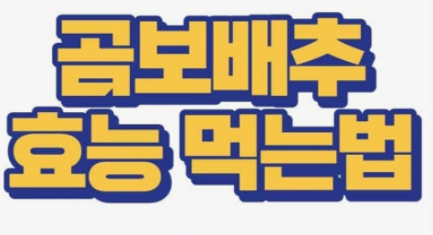  곰보배추 효능, '천연 기관지 청소부'를 아시나요?