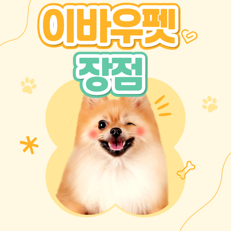  이바우펫 장점, 수강료 아끼고 취업까지 성공하는 비밀
