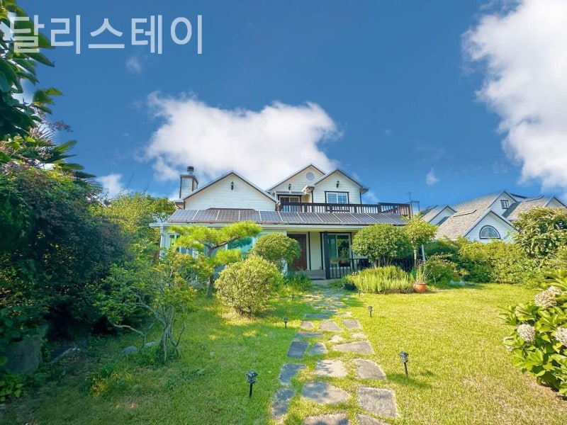 사진 3