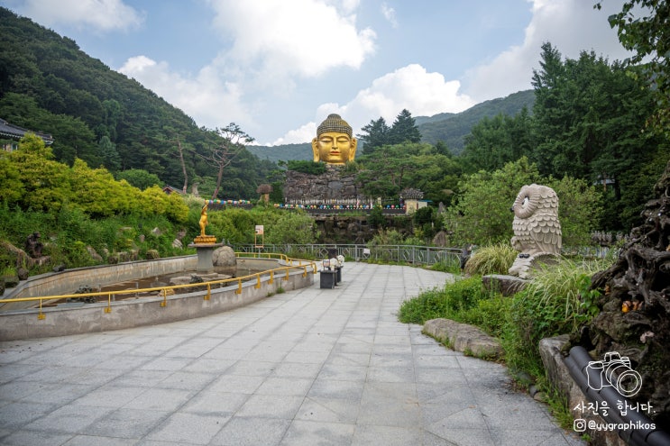  [경기도 용인시 처인구] 서울 근교 가볼만한곳, 절, 사찰 - 와우정사 & 거대불두상