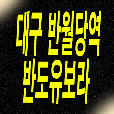  대구 반월당역 미분양아파트 남산동 반도유보라 분양가