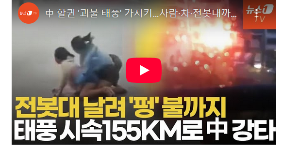 약국/<b>노란봉투법</b> 통과가 진짜 무서운 이유/<b>장동혁</b> 당 대표 선출... 
