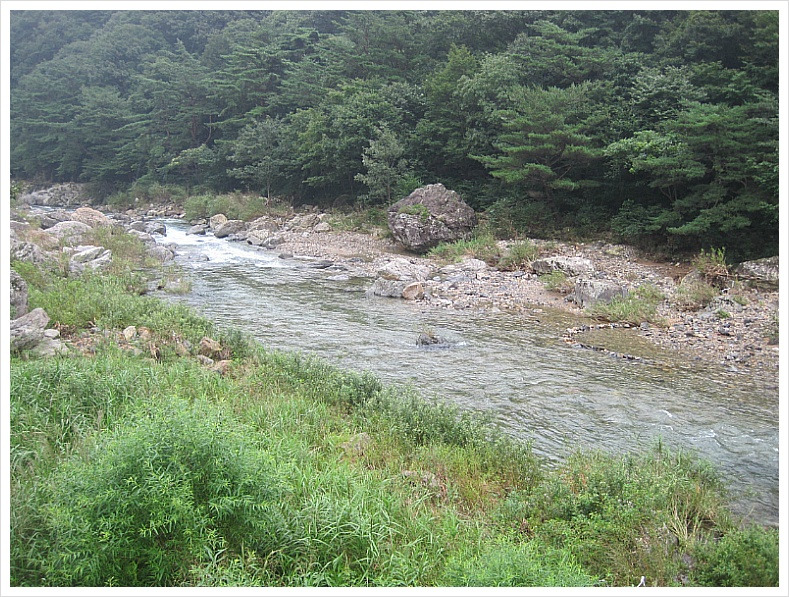 터골 사진 6