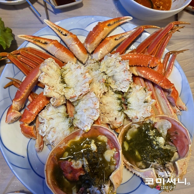  정동진 바다를 품은 대게 맛집 팔도횟집 푸짐한 팔도대게세트