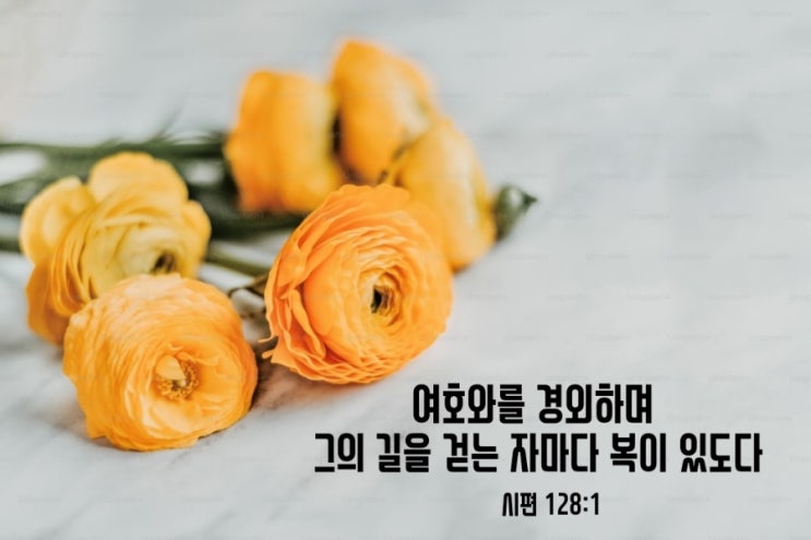  시편 128편-129편 말씀 묵상/여호와를 경외하는 자의 복과 인내의 믿음-매일성경큐티 8월27일