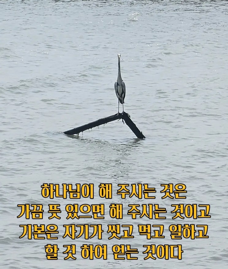  jms 정명석목사 잠언 ㅡ 할 것 하여 얻는 것이다