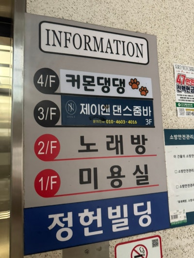 사진 3