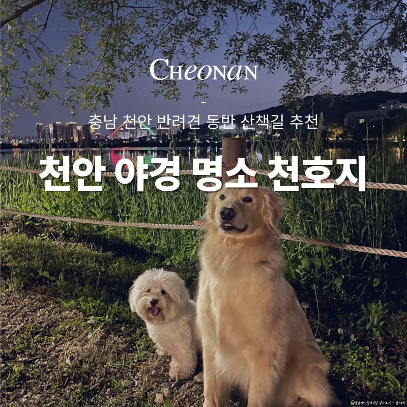 천호지근린공원산책로B