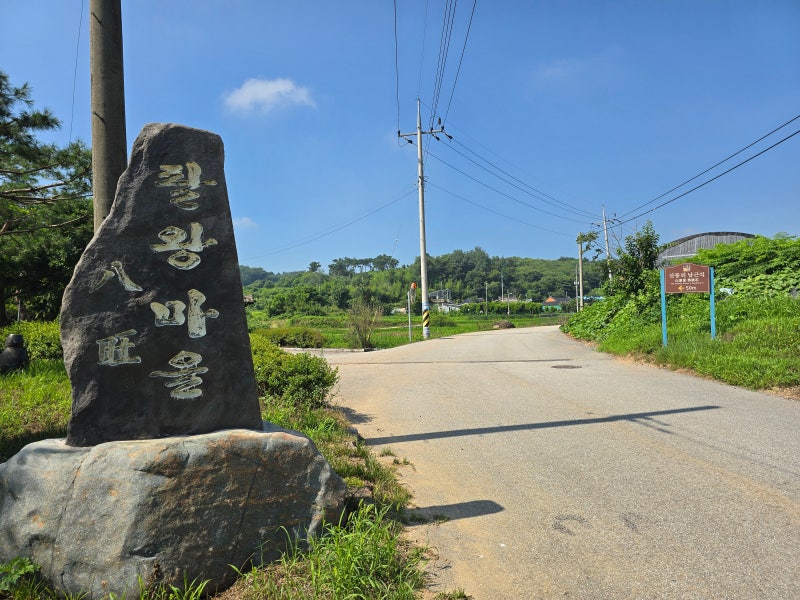 사진 3
