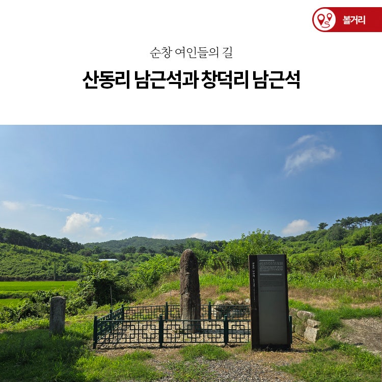 사진 2