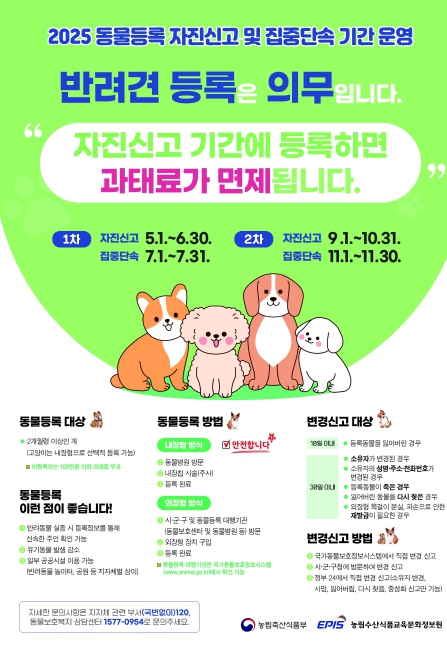 계양구, ‘2025년 제2차 동물등록 자진신고기간’ 운영