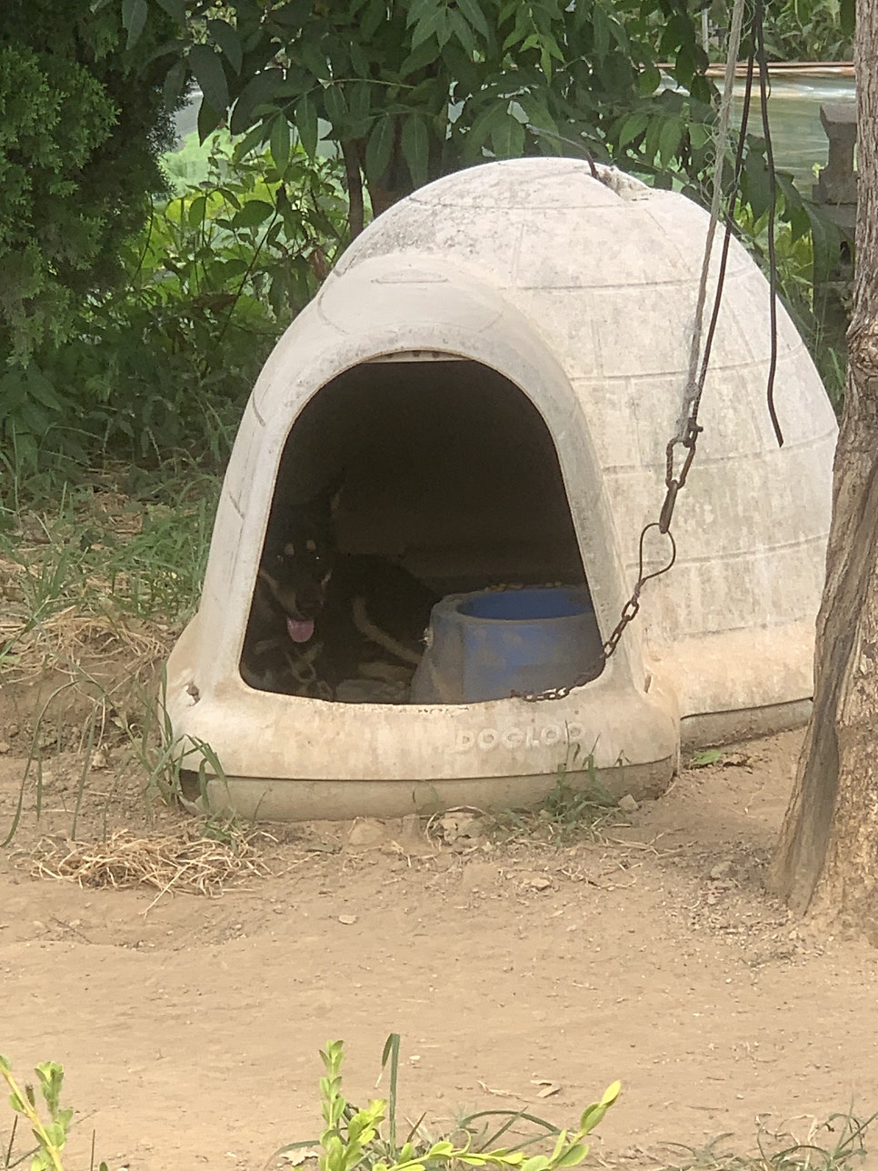 박곡중화반점 사진 2