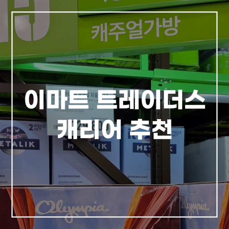  이마트 트레이더스 캐리어 수하물 28인치 기내용 20인치