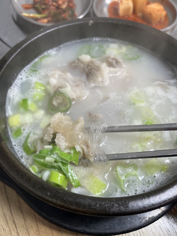  [레전드 시리즈1] 청주 북부시장 북일곰탕_ 화요일 특별메뉴 도가니탕(10000) + 공기밥(1000)