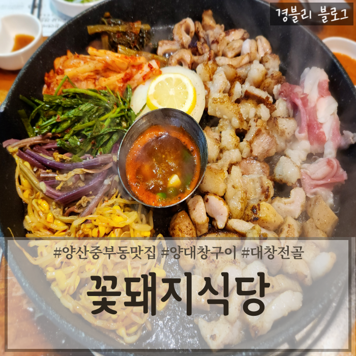  양산중부동맛집 양산양대창 대창전골맛집 양산회식추천 '꽃돼지식당 양산중부점'