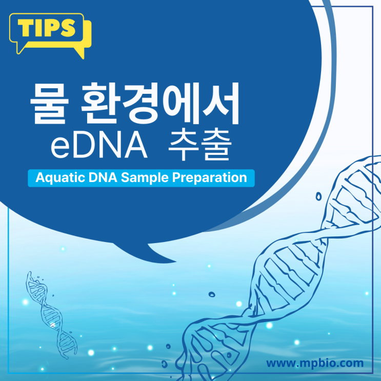  [실험 팁] 물 환경에서의 eDNA 추출: 실험 설계부터 최적화까지 (water DNA, eDNA extraction)