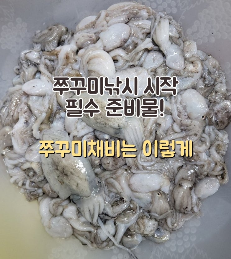  2025년 쭈꾸미낚시 쭈꾸미채비 준비물 완료